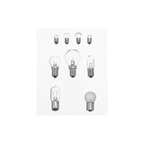 31452. BOMBILLA DE BAJO VOLTAJE, BURBUJA TRANSPARENTE 12V/0.1A, E10 C/10 PIEZAS PHYWE