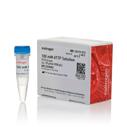 31524. DTTP (100MM) 250UL INVITROGEN