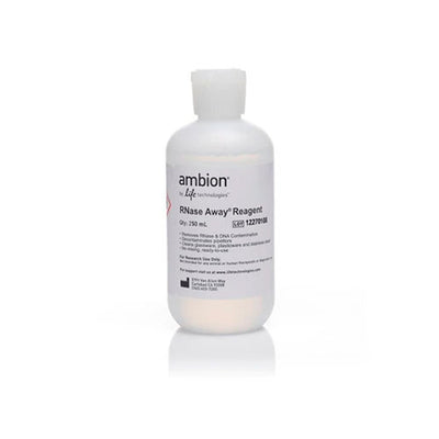 52777. REACTIVO DE DESCONTAMINACION RNASE AWAY 250ML - INVITROGEN