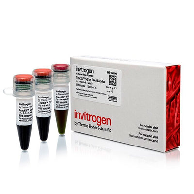 31020. TRACKIT 50 DNA LADDER 50UG INVITROGEN