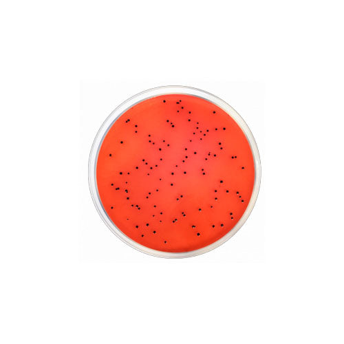 51359. AGAR XLD (SEGUN EP/USP/JP ARMONIZADAS P/MICROBIOLOGIA 500GR - MERCK
