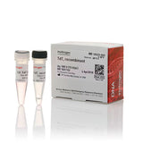 31021. TERMINAL DEOXYNUCLEOTIDYL TRANSFERASE RECOMBINANT 500 UNITS INVITROGEN
