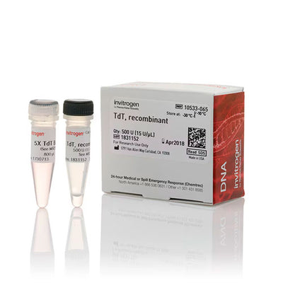 31021. TERMINAL DEOXYNUCLEOTIDYL TRANSFERASE RECOMBINANT 500 UNITS INVITROGEN
