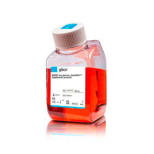 12359. DMEM LOW GLUCOSE GLUTAMAX SUPPLEMENT PYRUVATE 500ML - GIBCO