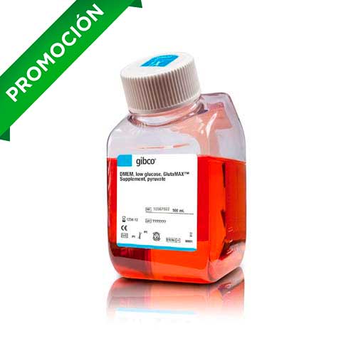 12359. DMEM LOW GLUCOSE GLUTAMAX SUPPLEMENT PYRUVATE 500ML - GIBCO