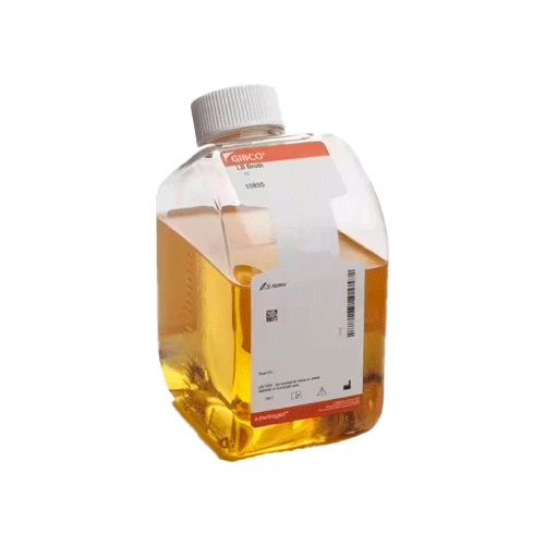 53691. CALDO LB (E.COLI) 1LT GIBCO