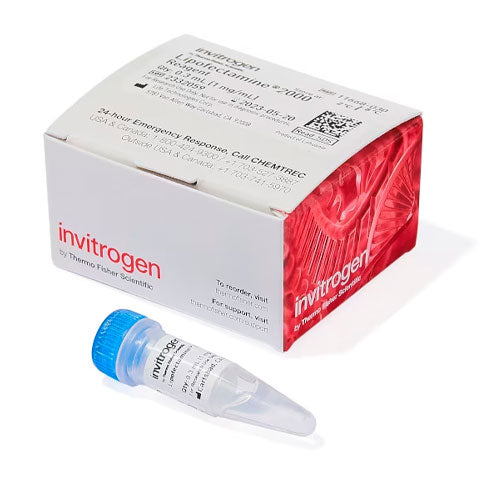 29314. REACTIVO P/TRANSFECCION LIPOFECTAMINE 2000, 0.3ML INVITROGEN