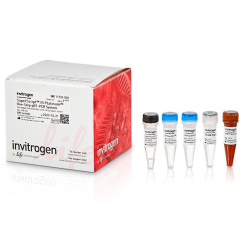 31022. SUPERSCRIPT III PLATINUM ONE STEP QRT-PCR KIT 100 REACTIONS INVITROGEN