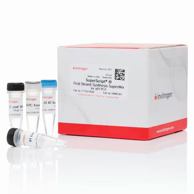 31023. SUPERSCRIPT III FIRST-STRAND SYNTESIS SUPERMIX FOR QRT-PCR 50 REACTIONS INVITROGEN