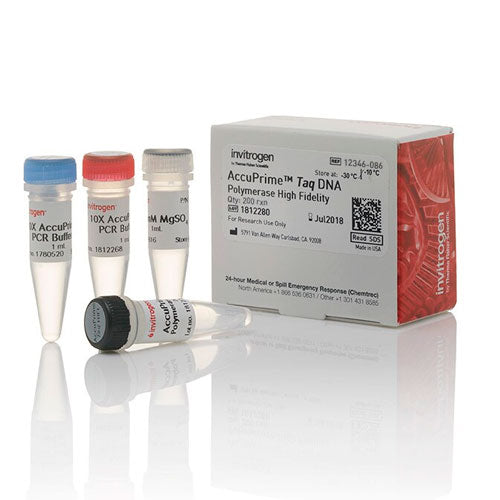 31027. ADN POLIMERASA DE ALTA FIDELIDAD ACCUPRIME 200 REACTIONS INVITROGEN