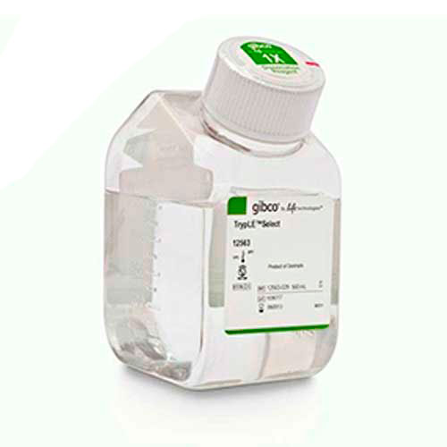 5935. ENZIMA TRYPLE SELECT (1X) SIN ROJO FENOL 500ML - GIBCO