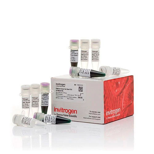 3579. MEZCLA MAESTRA DE PCR PLATINUM GREEN HOT START 200 REACCIONES - INVITROGEN