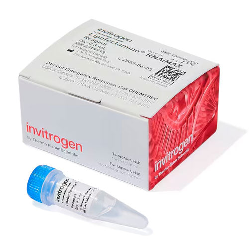 31028. REACTIVO P/TRANSFECCION LIPOFECTAMINE RNAIMAX 0.3ML INVITROGEN