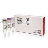 31029. PLATINUM II HOT-START PCR MASTER MIX (2X) 50 REACTIONS INVITROGEN