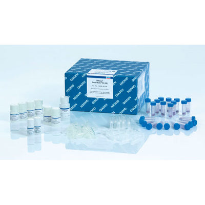 53913. KIT DE EXTRACCION DE ADN DE MUESTRAS DE AGUA 100 PREPS QIAGEN