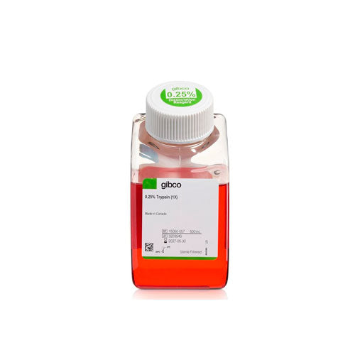 53692. TRIPSINA (0.25%) ROJO FENOL 500ML GIBCO