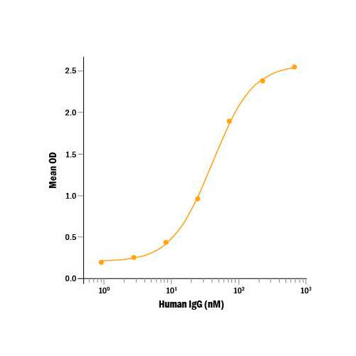 29025. RECOMBINANT HUMAN FC GAMMA RIIIB/CD16B PROTEIN CF 50UG R&D SYSTEMS