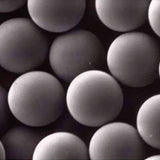 24796. MICROESFERAS DE AMINO POLYBEAD, 3,00UM, POLIESTIRENO MONODISPERSAS 5ML, POLYSCIENCES
