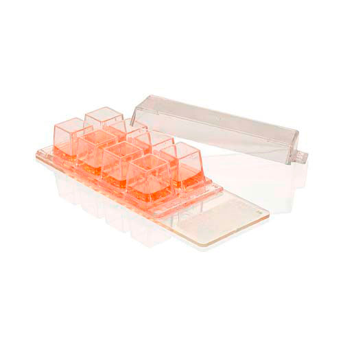 14060. SISTEMA DE CAMARA DE CULTIVO SOBRE PORTAOBJETOS 8 POZOS, PLASTICO PERMANOX C/TAPA TRANSPARENTE ESTERIL PAQUETE C/16 PIEZAS - NUNC