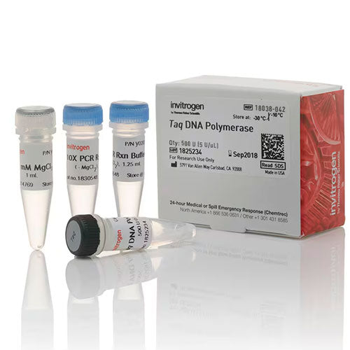 31032. TAQ ADN POLIMERASA 500U INVITROGEN
