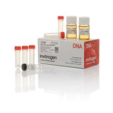 29622. CELULAS COMPETENTES MAX EFFICIENCY DH10B 5 X 200UL INVITROGEN