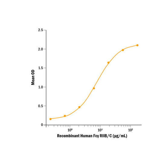 29024. RECOMBINANT HUMAN FC GAMMA RIIB/C (CD32B/C) PROTEIN CF 50UG R&D SYSTEMS