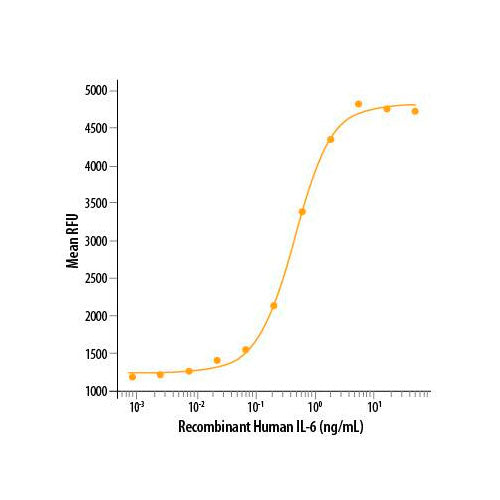 29587. RECOMBINANT HUMAN IL-6 PROTEIN 50UG R&D SYSTEMS