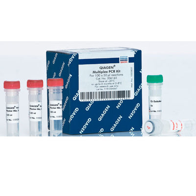 53876. KIT DE PCR MULTIPLEX 100 X 50UL QIAGEN