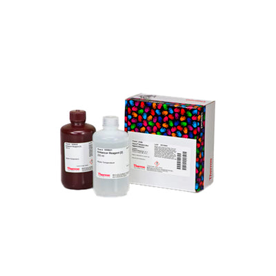 53148. WESTERN BLOT SIGNAL ENHANCER 500ML - PIERCE