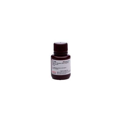 53146. RESTORE WESTERN BLOT STRIPPING BUFFER TRIAL SIZE 30ML - PIERCE