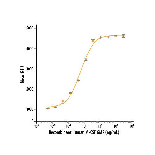 29568. RECOMBINANT HUMAN M-CSF GMP PROTEIN CF 25UG R&D SYSTEMS