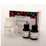 53127. QUANTITATIVE COLORIMETRIC PEPTIDE ASSAY, 500 ASSAYS - PIERCE