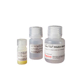 53126. EASY-TITER MOUSE IGG ASSAY KIT 96 TESTS - PIERCE