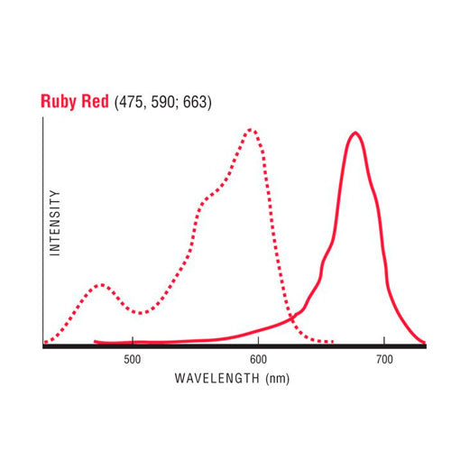 29367. MICROESFERAS FLUORESCENTES DE POLIESTIRENO RUBY RED FLOW CHECK 5ML P/CITOMETRIA DE FLUJO POLYSCIENCES