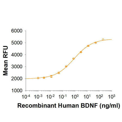 29561. RECOMBINANT HUMAN BDNF PROTEIN CARRIER FREE 10UG R&D SYSTEMS