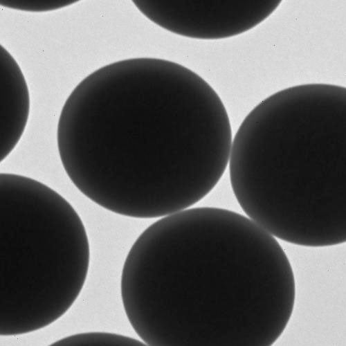 29723. MICROESFERAS DE SILICE 3.0UM, 1.5GR POLYSCIENCE