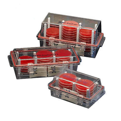 17935. SISTEMA DE CONTENEDORES EZ ANAEROBE C/20 BOLSAS BD - GASPAK