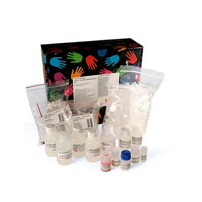 52963. CO-IMMUNOPRECIPITATION KIT 50 REACTIONS - PIERCE