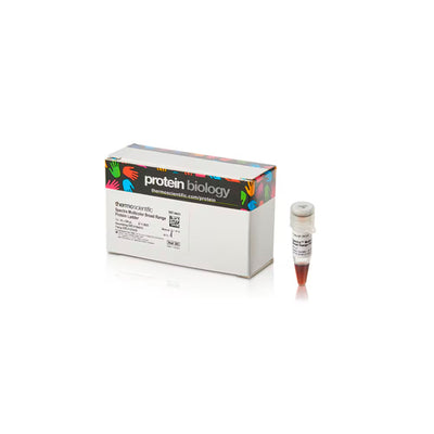 53263. SPECTRA MULTICOLOR BROAD PROTEIN LADDER 10 X 250UL - PIERCE