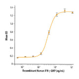51161.  RECOMBINANT HUMAN IFN-GAMMA GMP PROTEIN CF - R&D SYSTEMS
