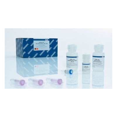53914. KIT DE EXTRACCION DE PRODUCTOS DE GELES DE AGAROSA 250RXN QIAGEN