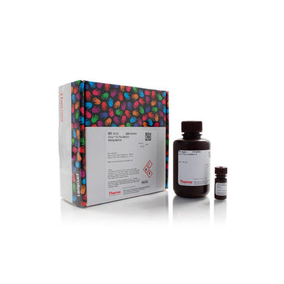 53296. SUSTRATO DE TRANSFERENCIA WESTERN ECL PLUS 300ML - PIERCE