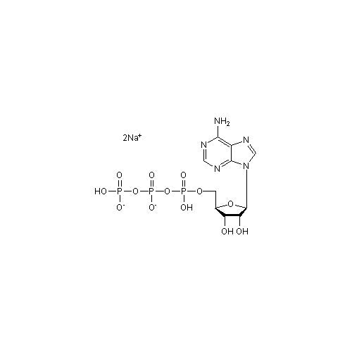 28220. ATP DISODIUM SALT  P2 AGONIST 50MG TOCRIS