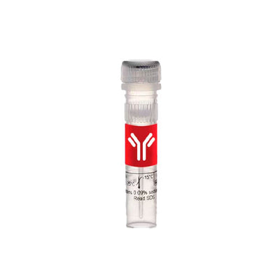 53017. RECOMBINANT PROTEIN A/G PEROXIDASE CONJUGATED 0.5MG - PIERCE
