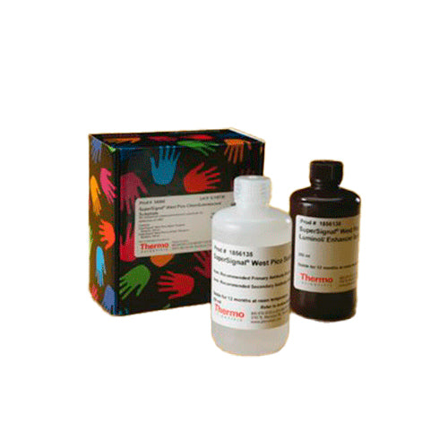 23353. SUPERSIGNAL WEST PICO CHEMILUMINESCENT 1000ML PIERCE