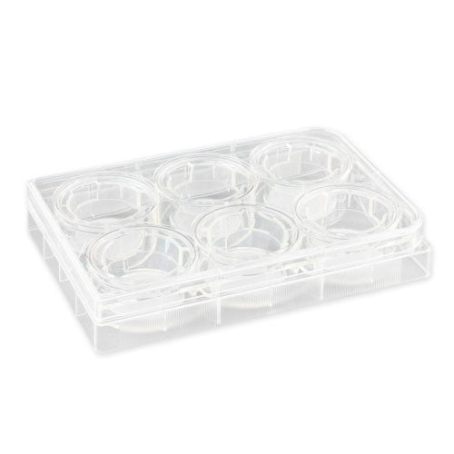 52015. INSERTO DE MEMBRANA DE POLICARBONATO 24MM, 0.4UM, TRATADA, ESTERIL TRANSWELL C/6 - CORNING