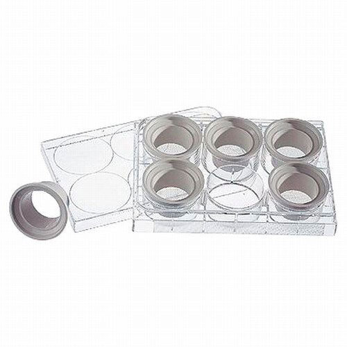 51748. INSERTO DE MEMBRANA DE POLIESTER 24MM, 440UM NETWELL ESTERIL C/6  -CORNING