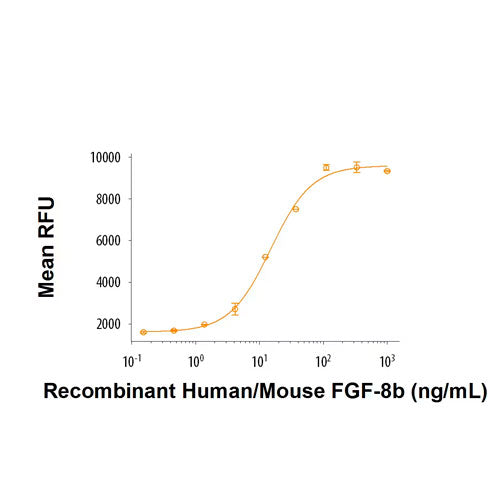 28212. RECOMBINANT HUMAN/MOUSE FGF-8BPROTEIN, 25UG, R&D SYSTEMS