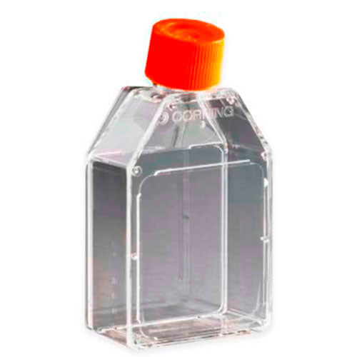 50659. FRASCO P/CULTIVO CELULAR 25CM2 CUELLO CANTEADO, TRATADO TC C/TAPON DE SELLADO, ESTERIL - CORNING