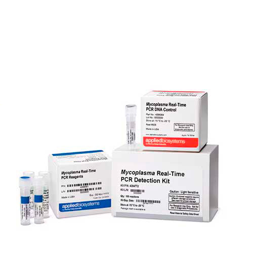 50444. KIT DE DETECCION DE MICROPLASMA MYCOSEQ 100 REACCIONES - APPLIED BIOSYSTEMS